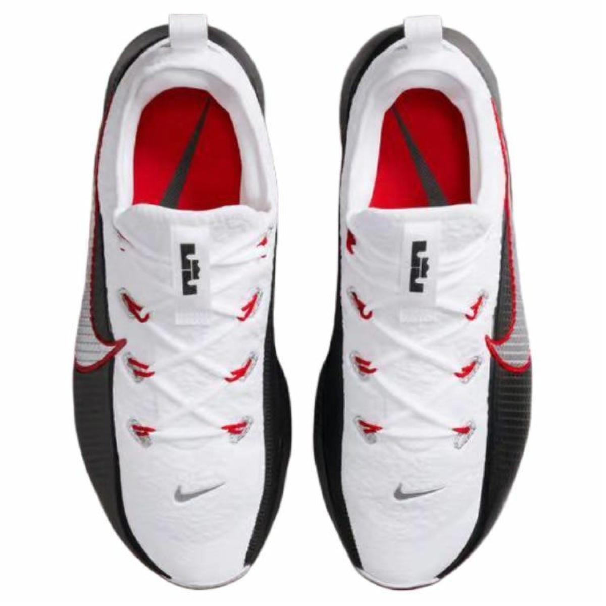 Мужские кроссовки Nike LeBron TR 1 White/Black