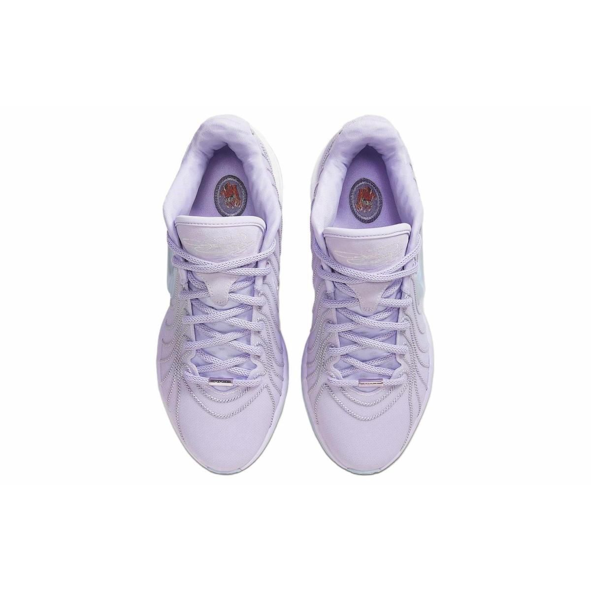 Мужские кроссовки Nike Lebron 21 Purple